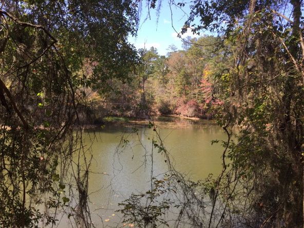 431 Us Hwy 431, Eufaula, AL 36027